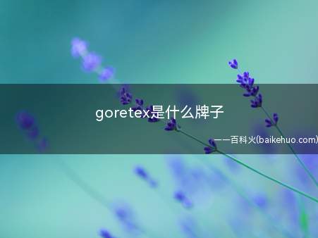 goretex是什么牌子(GORE)