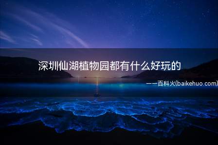 深圳仙湖植物园都有什么好玩的(2019年湖边旅游景点推荐)