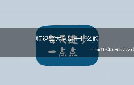 特巡警大队是干什么的(特巡警将配备最新单警装备每个盘查岗位都将配有皮卡、摩托车和依)