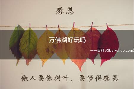 万佛湖好玩吗(中国首批国家水利风景区—万佛湖)