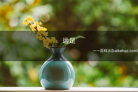 远足(徒步、行山或健行,并不是通常意义上的散步)
