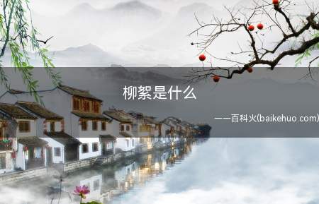 柳絮是什么(柳絮,即柳树的种子,上面有白色绒毛,随风飞散如飘絮,所以称柳)