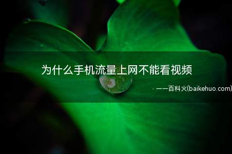为什么手机流量上网不能看视频(手机流量上网不能看视频的原因以及解决方法)