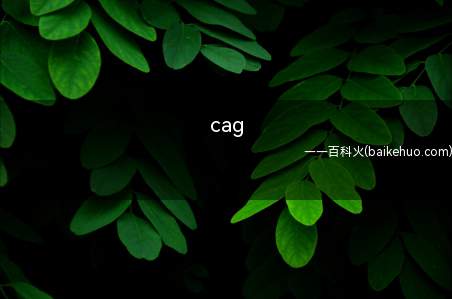 cag(冠状动脉造影应用于不典型的心绞痛症状)