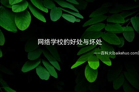 网络学校的好处与坏处(电脑可以提高学生的语文水平)