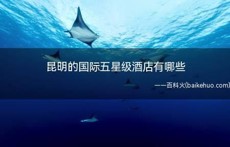 昆明的国际五星级酒店有哪些(昆明的国际五星级酒店,邦克大酒店)