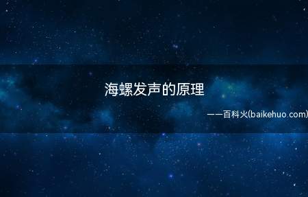 海螺发声的原理(海螺本不会发声,听到的主要是耳朵里血液循环的声音)