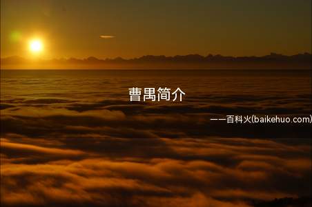 曹禺简介(曹禺(1910年9月24日至1996年12月13日))
