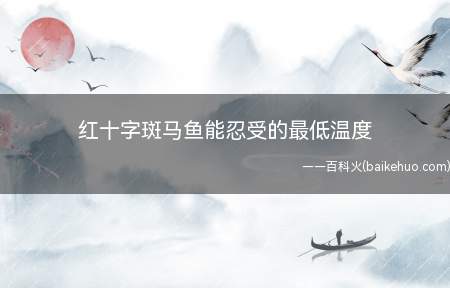 红十字斑马鱼能忍受的最低温度(斑马鱼对为观赏鱼,对水温的转变有很强的抵抗能力)