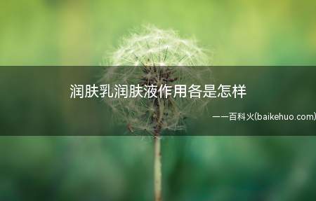 润肤乳润肤液作用各是怎样(油性肌肤最满意的护肤品)