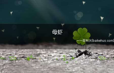 母虾（“母虾”是侠女的含意。）