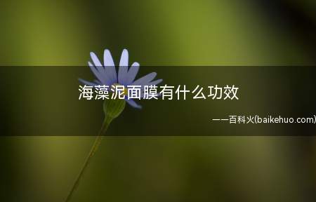 海藻泥面膜有什么功效(海藻泥面膜具有补水保湿,祛斑美白,保持皮肤水和油平衡,控制植)