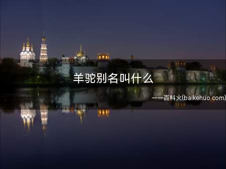 羊驼别名叫什么(羊驼和羊驼的区别是什么?)