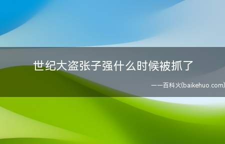 世纪大盗张子强什么时候被抓了(广州市中级人民法院判处张子强犯罪集团43人死刑)