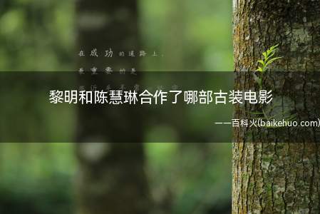 黎明和陈慧琳合作了哪部古装电影(《江山美人》两条文武线齐头并进,陈慧琳是真正的核心人物)