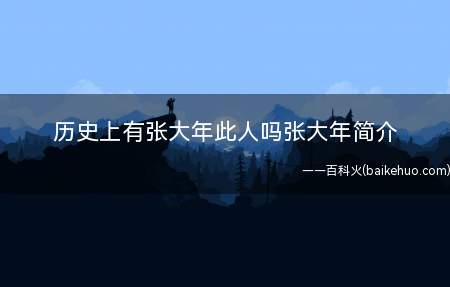 历史上有张大年此人吗张大年简介(建炎四年四月十二日,河朔岳飞题)