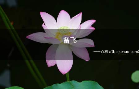 备飞(中国第一批女飞行员正式进入战斗部队)