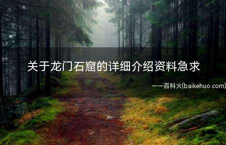 关于龙门石窟的详细介绍资料急求(洛阳龙门石窟的艺术特点)