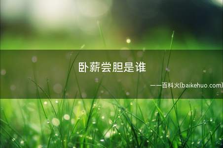 卧薪尝胆是谁(卧薪尝胆的故事_人文频道)