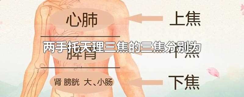 双手托天理三焦的三焦是什么意思(双手托天理三焦的三焦指的是)