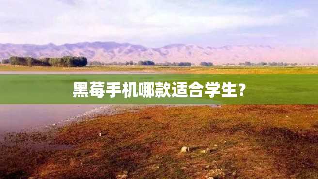 黑莓手机哪款适合学生？
