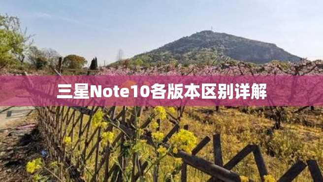三星Note10各版本区别详解