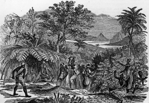 孟夏韵评《被入侵的天堂：拉丁美洲环境史》︱重塑热带家园 