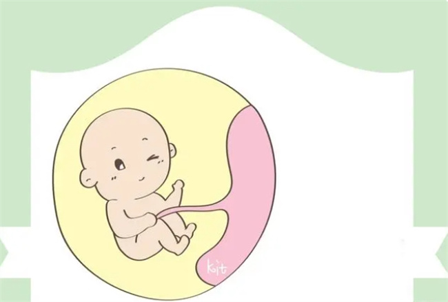 胎儿“讨厌”的声音，宝妈要远离，否则对大脑发育造成很大影响