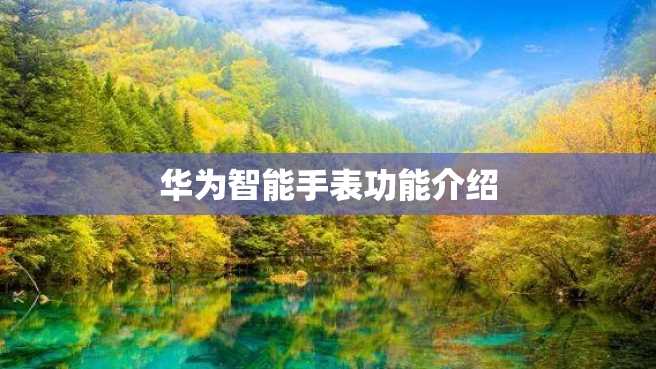 华为智能手表功能介绍 华为智能手表功能介绍