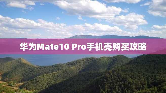 华为Mate10 Pro手机壳购买攻略