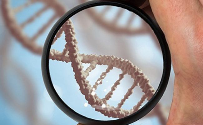 科技部发布《人类遗传资源管理条例实施细则》 该细则出台有何意义？