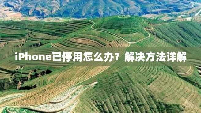 iPhone已停用怎么办？解决方法详解