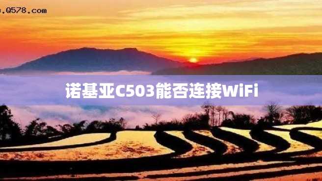 诺基亚C503能否连接WiFi