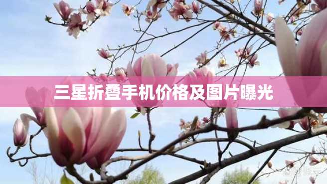 三星折叠手机价格及图片曝光 三星折叠手机价格及图片曝光
