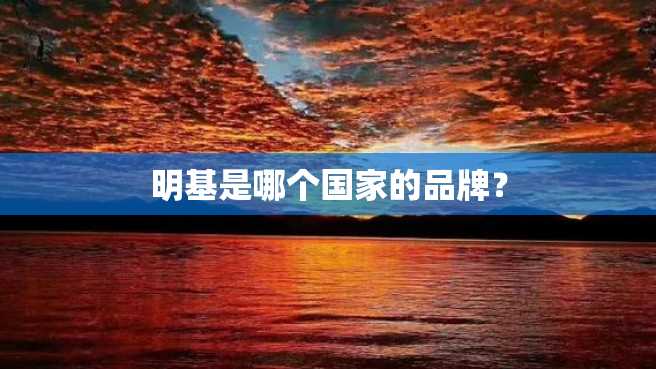 明基是哪个国家的品牌? 明基是哪个国家的品牌?