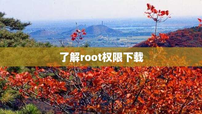 了解root权限下载 了解root权限下载