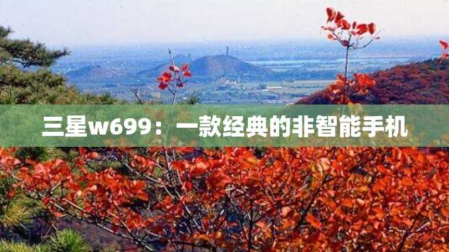 三星w699:一款经典的非智能手机 三星w699:一款经典的非智能手机
