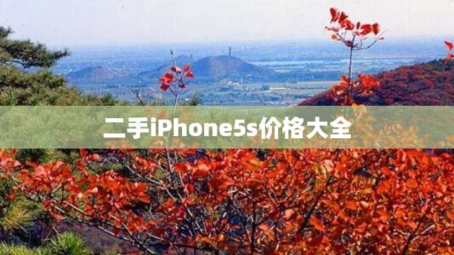 二手iPhone5s价格大全 二手iPhone5s价格大全