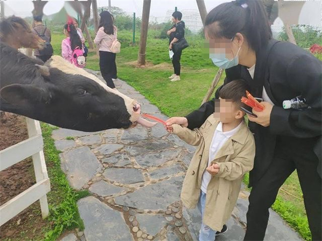 孩子想买贵衣服 妈妈不同意“躺地打滚” 走娃的路让他无路可走