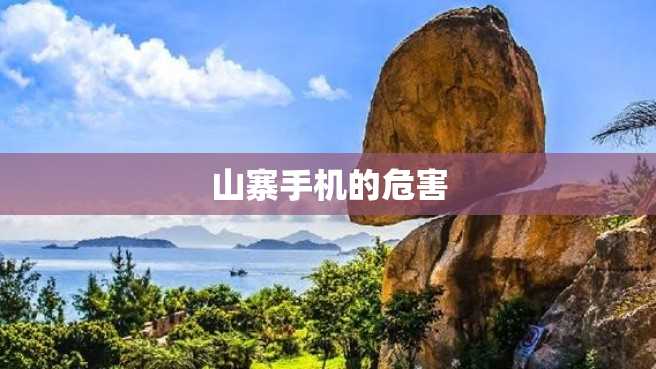 山寨手机的危害 山寨手机的危害