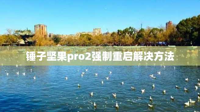 锤子坚果pro2强制重启解决方法
