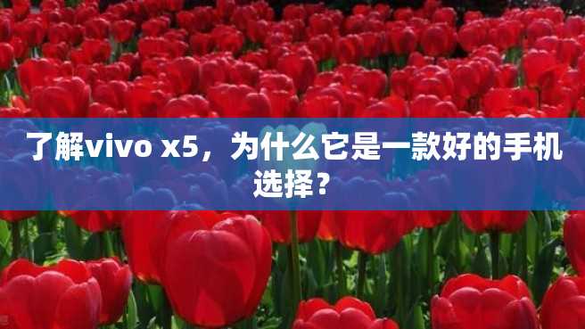 了解vivo x5,为什么它是一款好的手机选择? 了解vivo x5,为什么它是一款好的手机选择?
