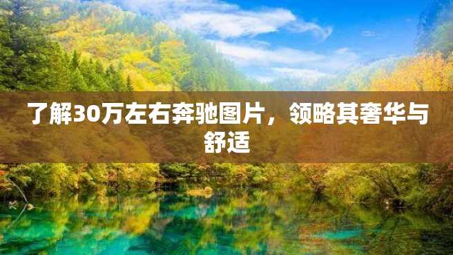 了解30万左右奔驰图片，领略其奢华与舒适