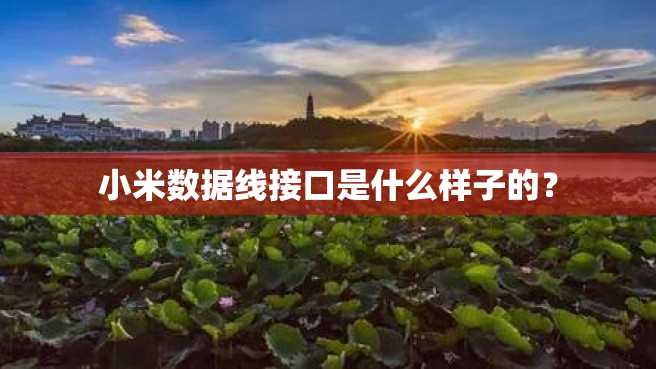 小米数据线接口是什么样子的? 小米数据线接口是什么样子的?