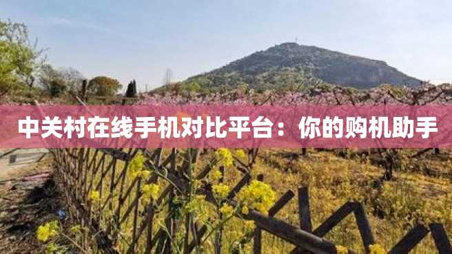 中关村在线手机对比平台:你的购机助手 中关村在线手机对比平台:你的购机助手