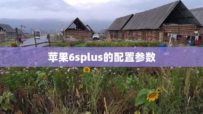 苹果6splus的配置参数 苹果6splus的配置参数