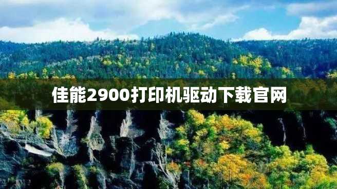佳能2900打印机驱动下载官网 佳能2900打印机驱动下载官网