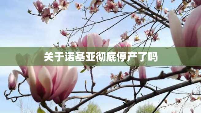关于诺基亚彻底停产了吗