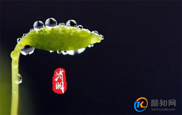 清明节的由来和习俗 清明节的起源_酷知科普