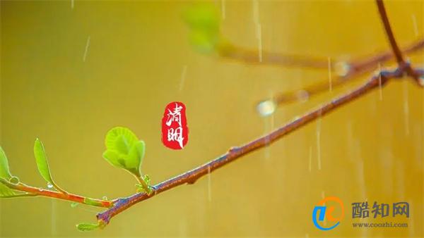清明节的由来和习俗 清明节的起源_酷知科普